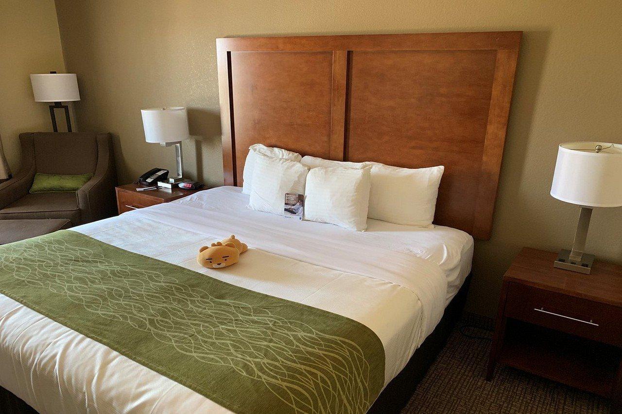 Comfort Inn Midland South I-20 Eksteriør billede